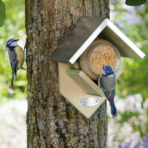 Peanut Butter Bird Feeder Peanut Butter Bird Feeder