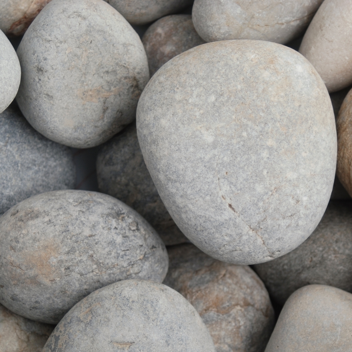 Dove Grey Cobbles - Dry Dove Grey Cobbles - Dry