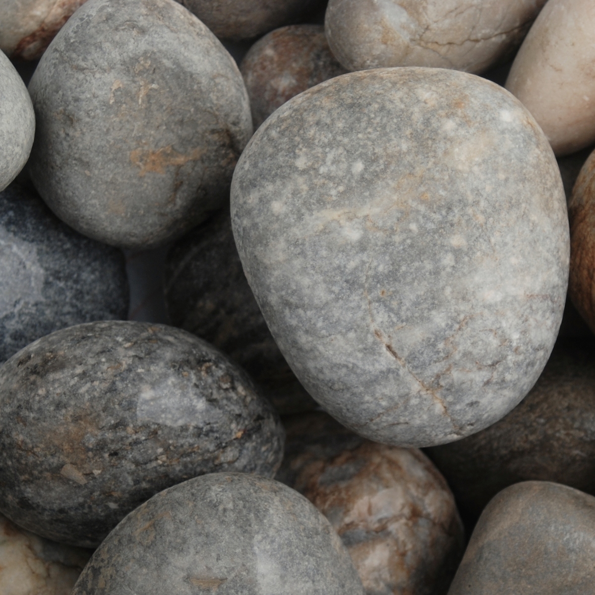Dove Grey Cobble - Wet Dove Grey Cobble - Wet