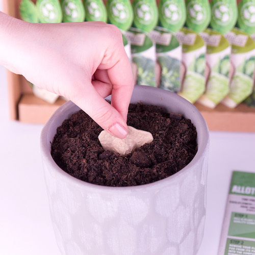 Vegetable Seed Pods 12 Varieties Nationwide Delivery