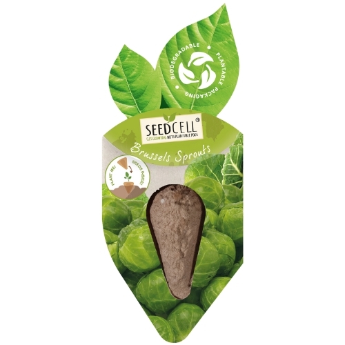 Vegetable Seed Pods 12 Varieties Nationwide Delivery