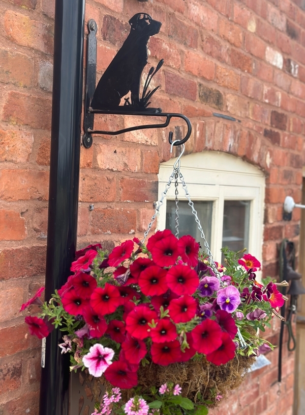 Decorative Hanging Basket Bracket