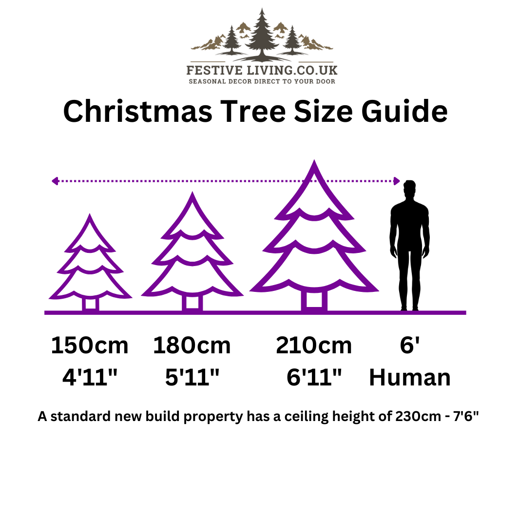 GLENMORE SLIM PINE CHRISTMAS TREE GLENMORE SLIM PINE CHRISTMAS TREE