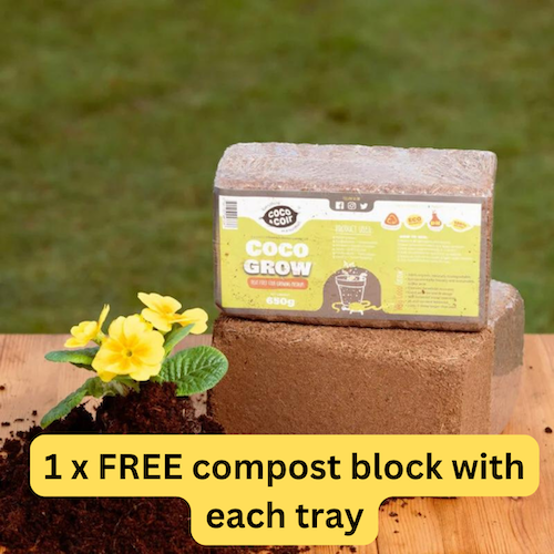 20 Cell Natural Rubber Seed Tray - With FREE Coir Compost! | Seed Trays ...