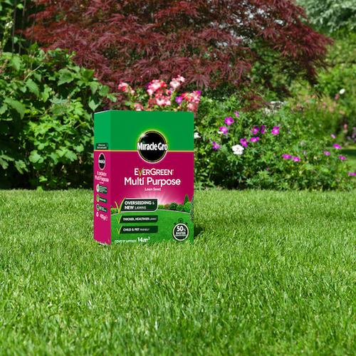 Multi Purpose Lawn Seed - Miracle Gro 56m² Pack Multi Purpose Lawn Seed - Miracle Gro 56m² Pack