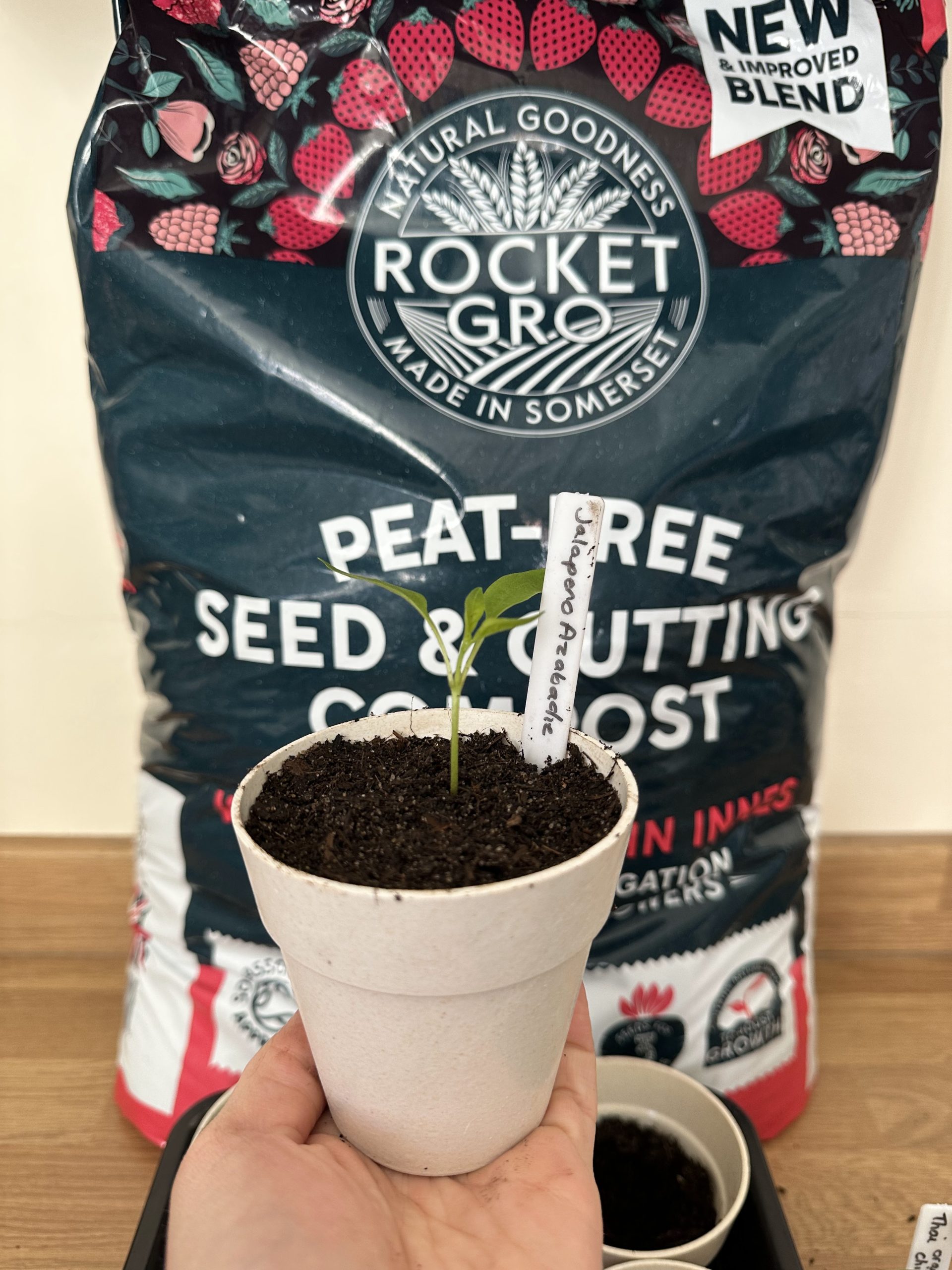 JI1 Seed &amp; Cutting Compost 20 Litre