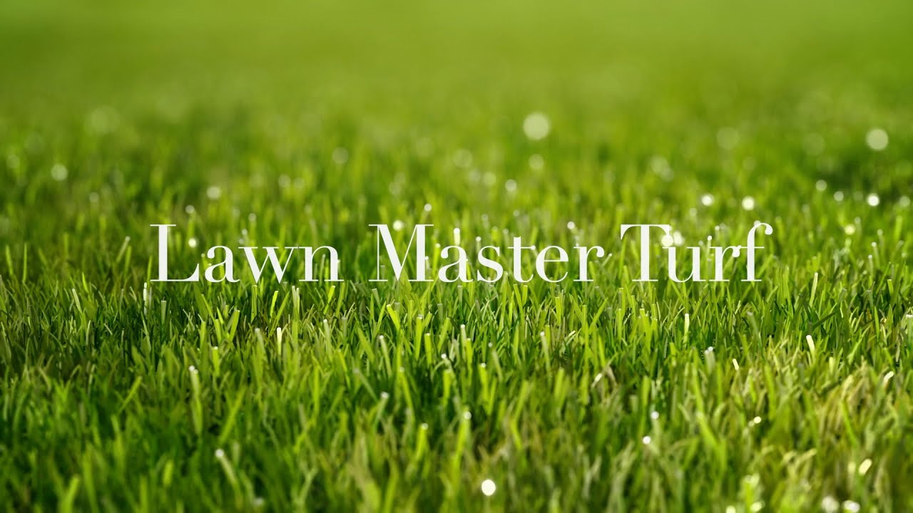 Lawn Master Turf  -  FROM £3.58 per m²