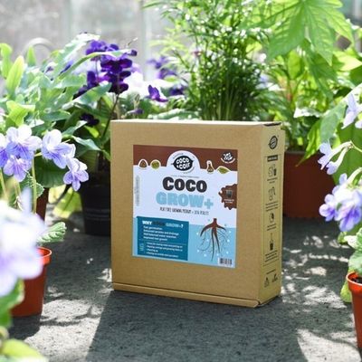 Coir Grow+ Seed & Cutting Compost 15 Litre CNCGMGRP1