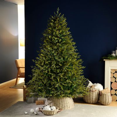 ROCKY MOUNTAIN PINE - PREMIUM CHRISTMAS TREE FVE-TROCKYM