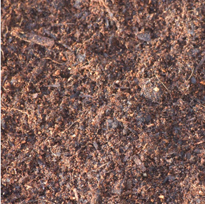 Peat Free Multi Purpose Compost CP-PFCOMP