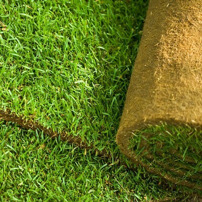 Lawn Master Turf  -  FROM £3.78 per m² NW-Turf-LMT