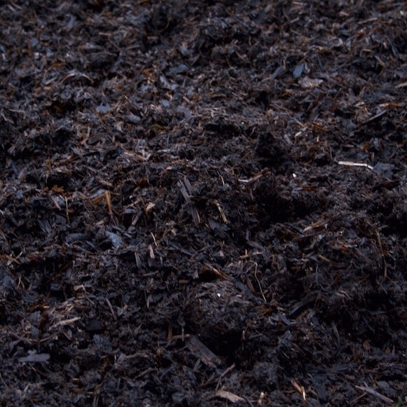 Composted Horse Manure