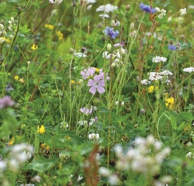 Bird & Bees Meadowmat HT-MEAD-BB