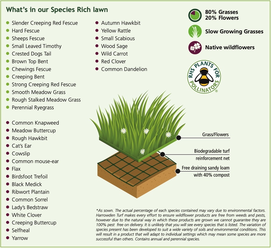 Species Rich Meadow Turf Species Rich Meadow Turf
