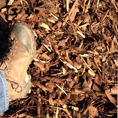 Garden Bark Mulch 10-65mm Garden Bark Mulch 10-65mm