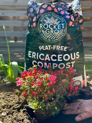 Peat Free Ericaceous Compost 40 Litre Bags