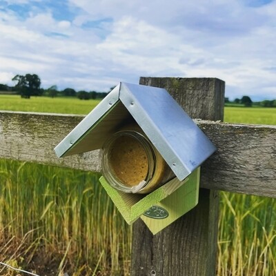 Peanut Butter Bird Feeder FF-FB213