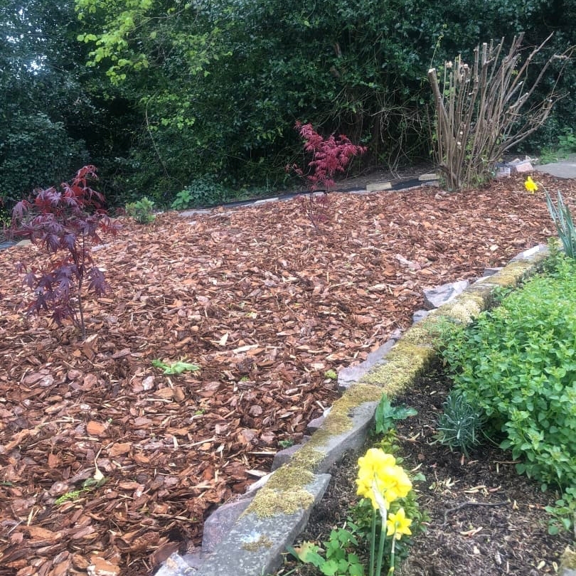 Pine Bark Nuggets 15-60mm Pine Bark Nuggets 15-60mm