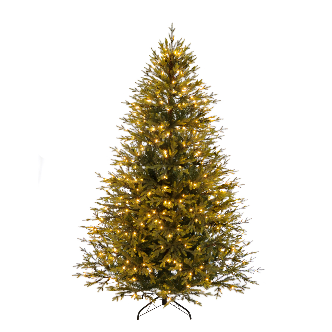 ROCKY MOUNTAIN PINE - PREMIUM CHRISTMAS TREE ROCKY MOUNTAIN PINE - PREMIUM CHRISTMAS TREE