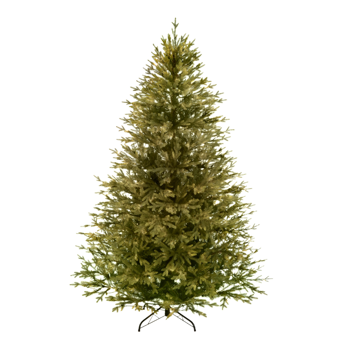 ROCKY MOUNTAIN PINE - PREMIUM CHRISTMAS TREE ROCKY MOUNTAIN PINE - PREMIUM CHRISTMAS TREE
