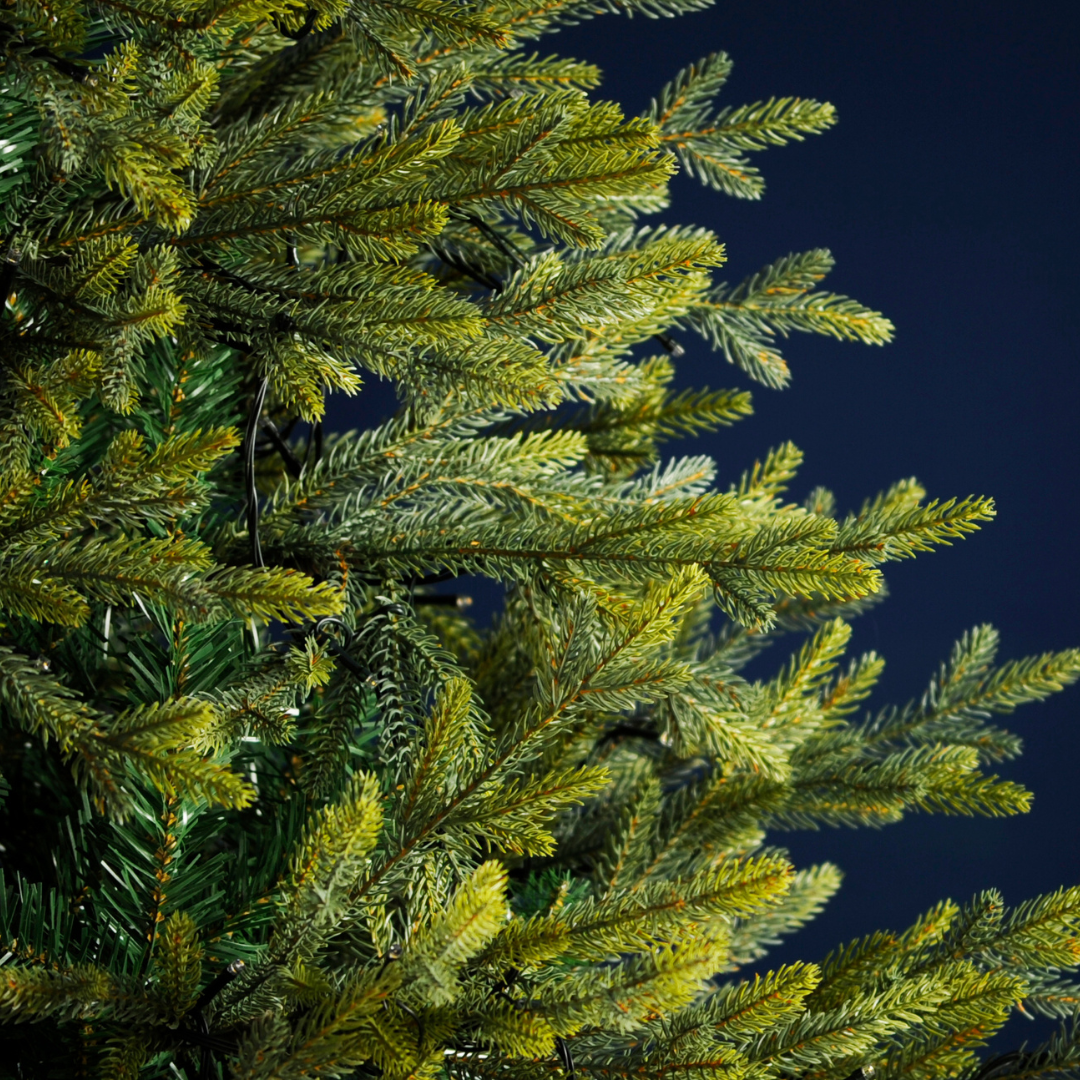 ROCKY MOUNTAIN PINE - PREMIUM CHRISTMAS TREE ROCKY MOUNTAIN PINE - PREMIUM CHRISTMAS TREE