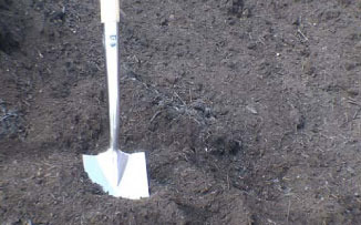 Tree &amp; Shrub Planting Compost