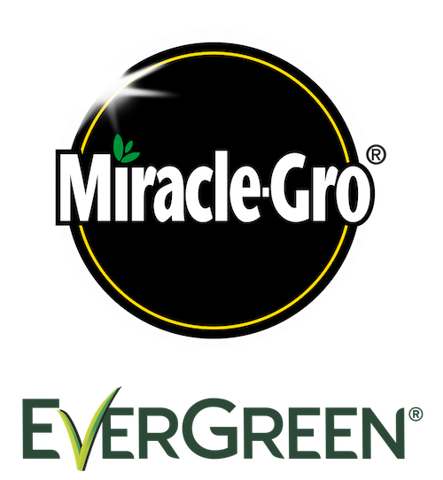 Multi Purpose Lawn Seed - Miracle Gro 165m² Pack