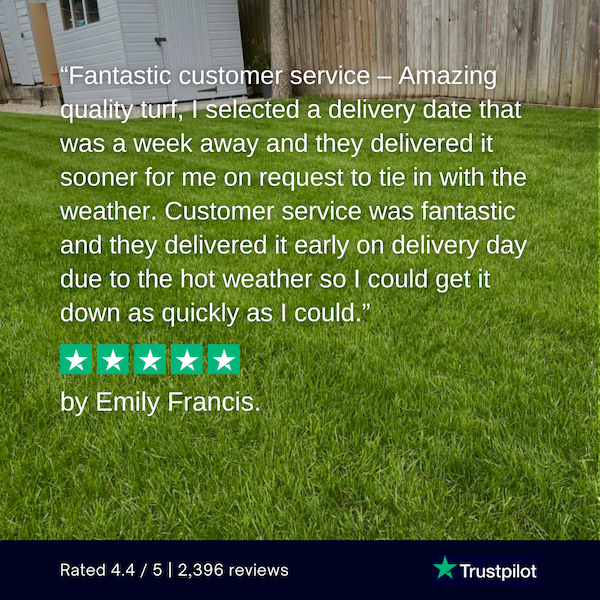 Family Lawn Turf  -  FROM £3.70 per m²