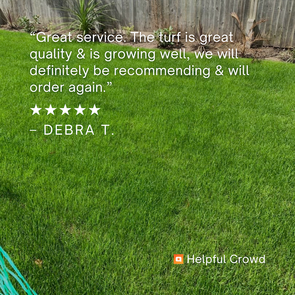 Family Lawn Turf  -  FROM £3.70 per m²