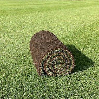 Family Lawn Turf  -  FROM £3.70 per m² NW-Turf-FLT