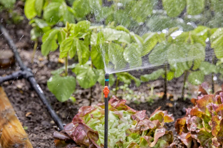Gardena Extension Pipes for Spray Nozzles – Pack of 5 Gardena Extension Pipes for Spray Nozzles – Pack of 5