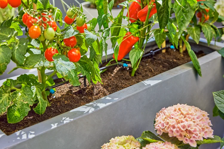 Gardena Micro-Drip Terrace Set – Up to 30 Plants Gardena Micro-Drip Terrace Set – Up to 30 Plants