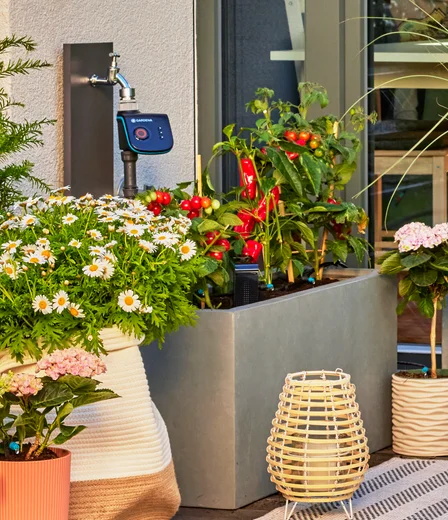 Gardena Micro-Drip Terrace Set – Up to 30 Plants Gardena Micro-Drip Terrace Set – Up to 30 Plants