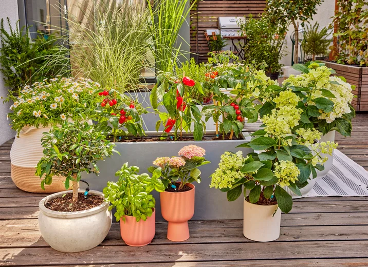 Gardena Micro-Drip Terrace Set – Up to 30 Plants Gardena Micro-Drip Terrace Set – Up to 30 Plants