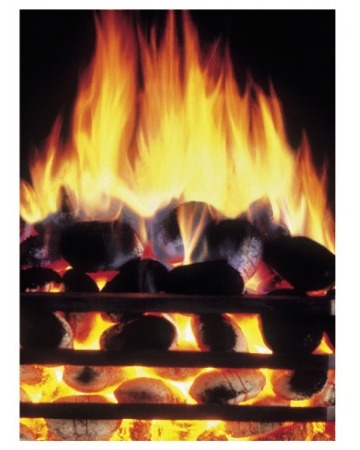 ECO Glow Smokeless Ovals ECO Glow Smokeless Ovals