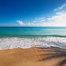 Unleashed Remote Management Service: Beheer deze zomer je netwerk vanaf het strand