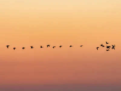 5 onmisbare tips voor een succesvolle Wi-Fi 7 migratie