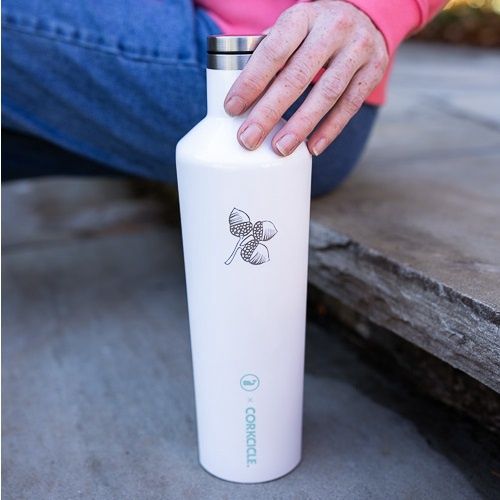 Corkcicle Canteen