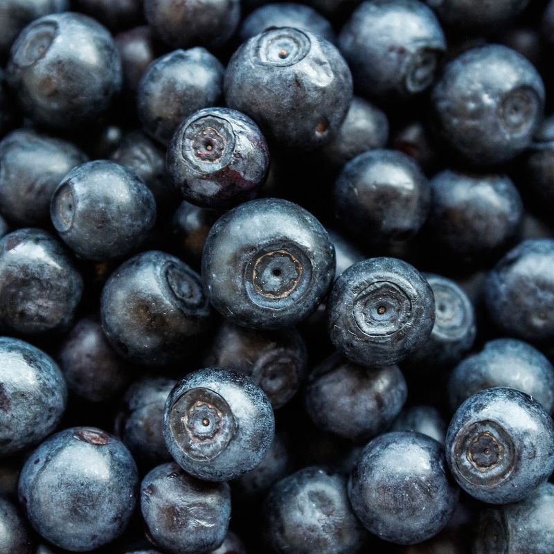 Glühwein Heidelbeere