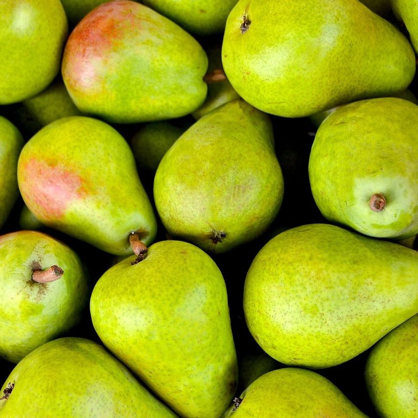 Glühwein Williams Christ Birne Glühwein Williams Christ Birne