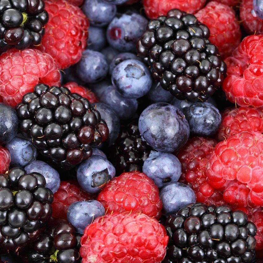 Unser Klassiker - Obst und Beeren Unser Klassiker - Obst und Beeren