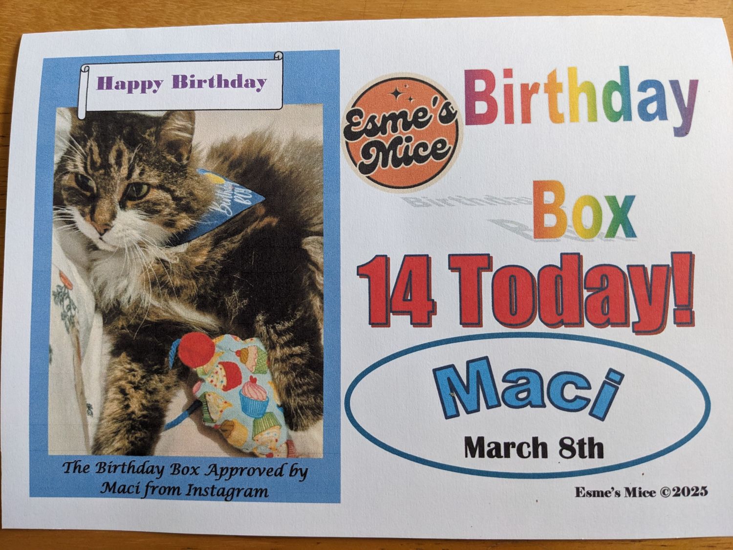 Celebration/Gift 🎉 Boxes, 4 Organic Catnip Toys  🐭😻personalised £12.99 including Birthday, Half Birthday, Gotcha Day &amp; Get Well ❤️‍🩹