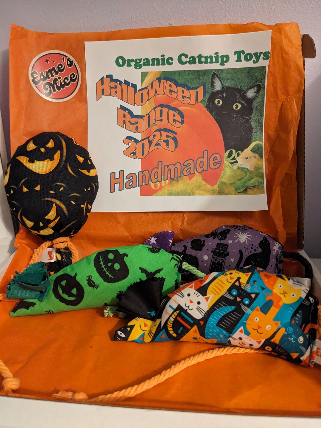 Esme&#39;s Mice Halloween Toy Box 🎃🐈‍⬛ 4 Handmade Organic Catnip 🌿 Toys in a presentation Box 🎁 £12.99
