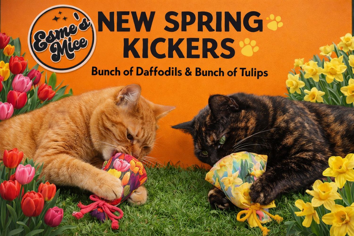 NEW SPRING KICKERS 🐾 Bunch of Daffodils 🌼 &amp; Bunch of Tulips 🌷 pack 2