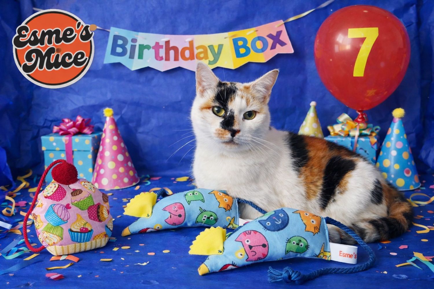 The Birthday Box 🎂 🎈 Personalised and with 4 Organic Catnip Celebration Toys 🐭 🐾