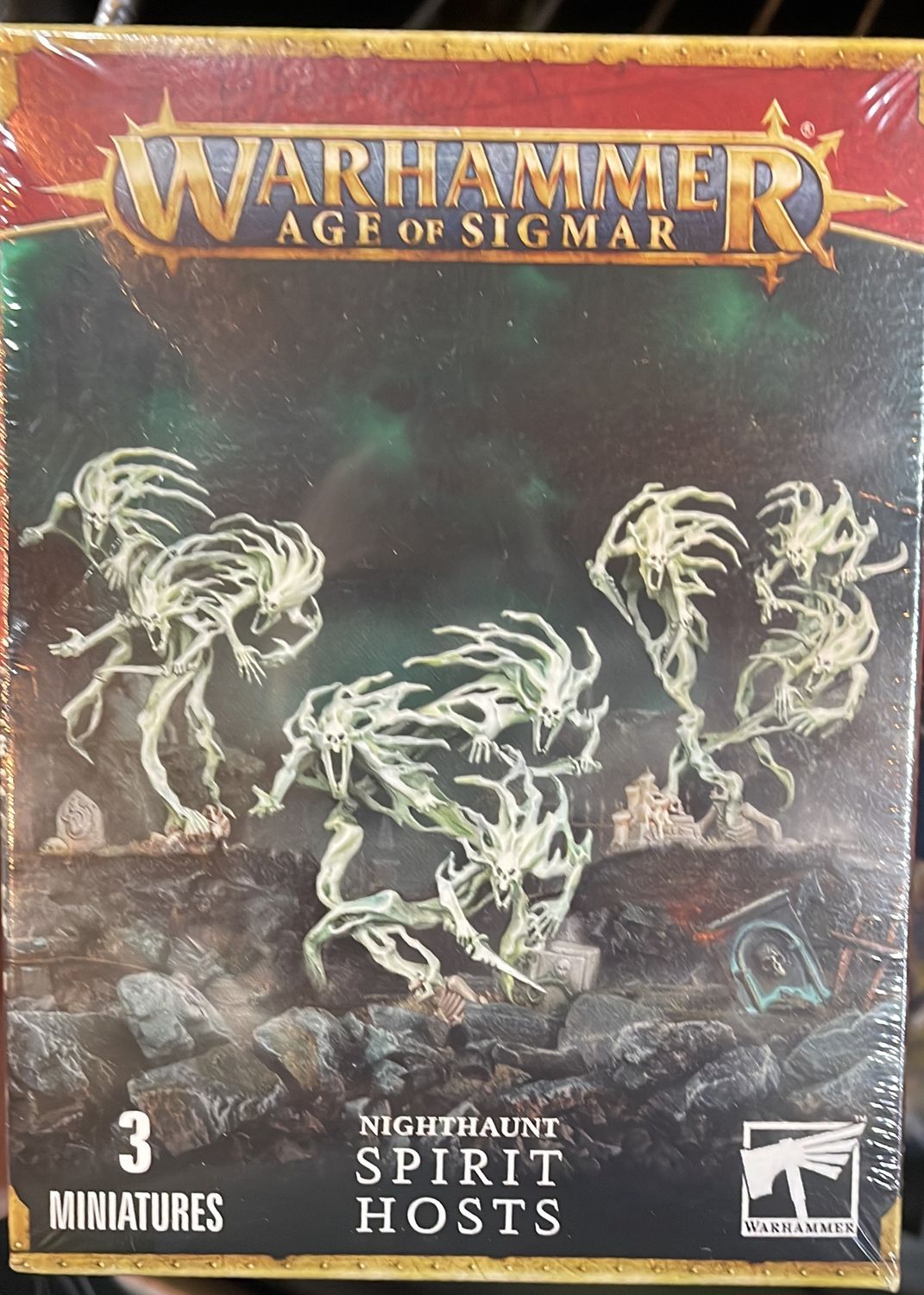 Night haunt : Spirit Hosts