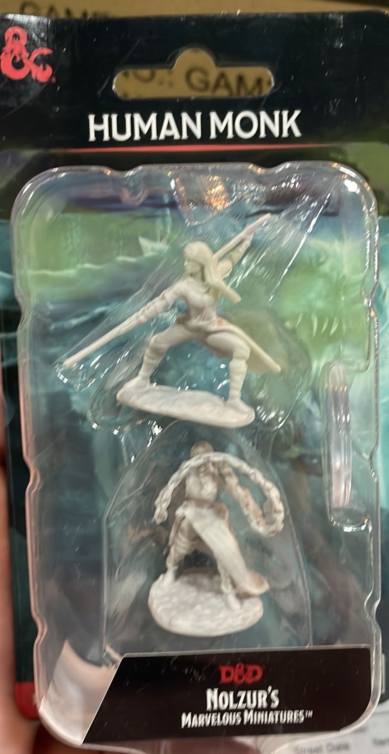 Nolzurs Human Monk DND Mini