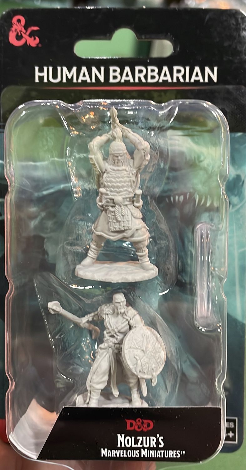 Nolzurs Human Barbarian DND Mini Type 2