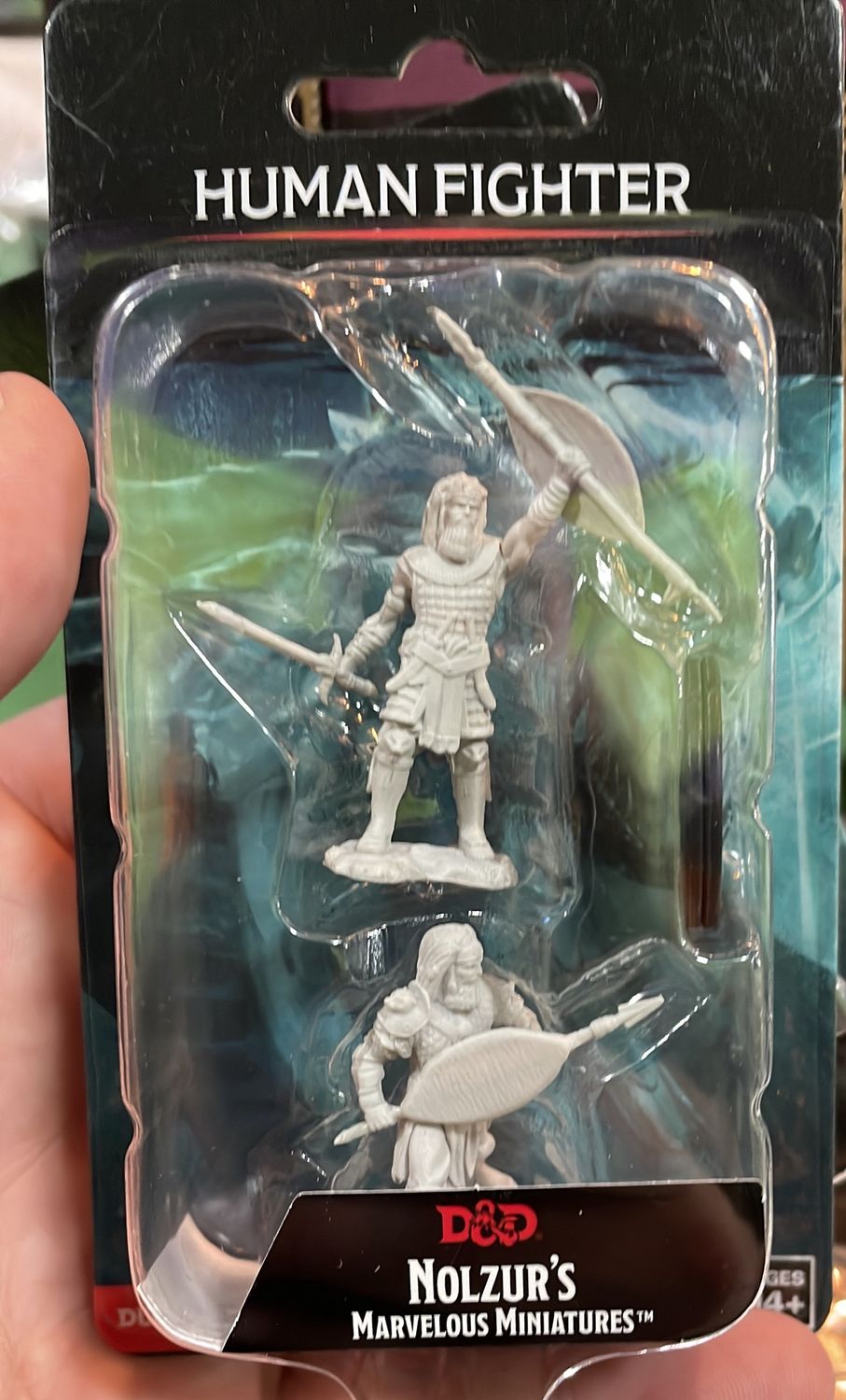 Nolzurs Human Fighter DND mini