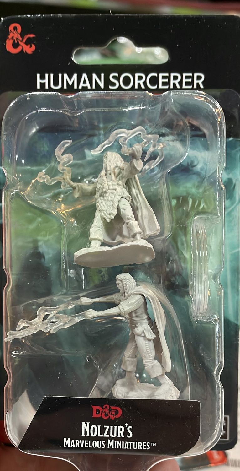 Nolzurs Human Sorcerer DND Mini